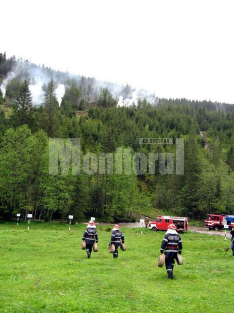 Simulare: Impresionantă desfășurare de forțe, la stingerea unui incendiu de pădure