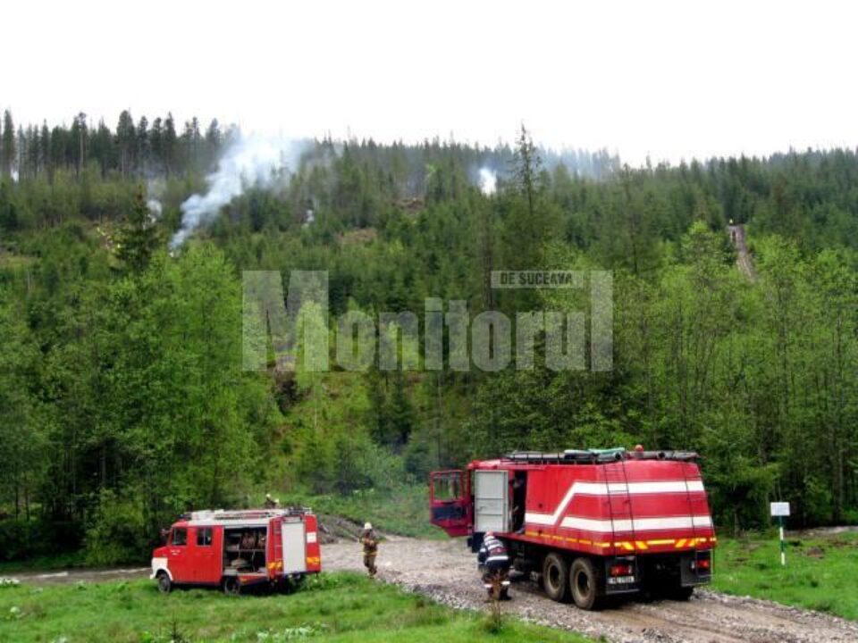 Simulare: Impresionantă desfășurare de forțe, la stingerea unui incendiu de pădure