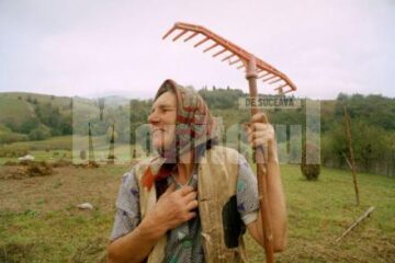 Agricultorii au pierdut 15% din subvențiile la hectar pe 2007, din cauza întârzierii plăților