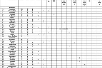 Alegeri: Componența consiliilor locale din județ