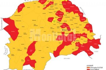 Bilanț: Flutur a câștigat în 73 de localități, Mîrza în 39, iar Prodan în 2