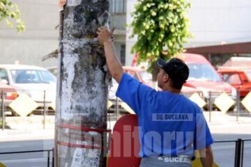 Angajații Domeniului Public din cadrul Primăriei Suceava curăță orașul de afișe