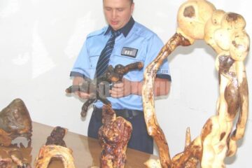 Agentul Doru Ureche și lucrările sale