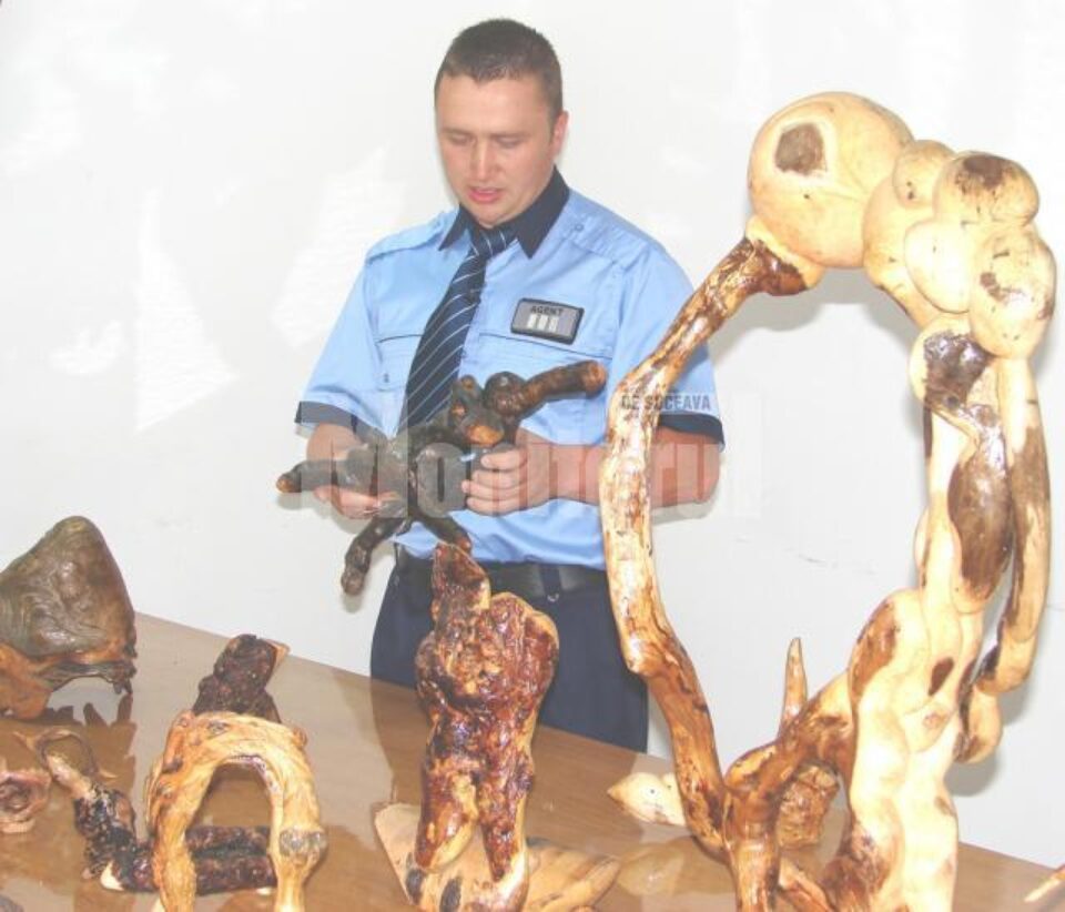 Agentul Doru Ureche și lucrările sale