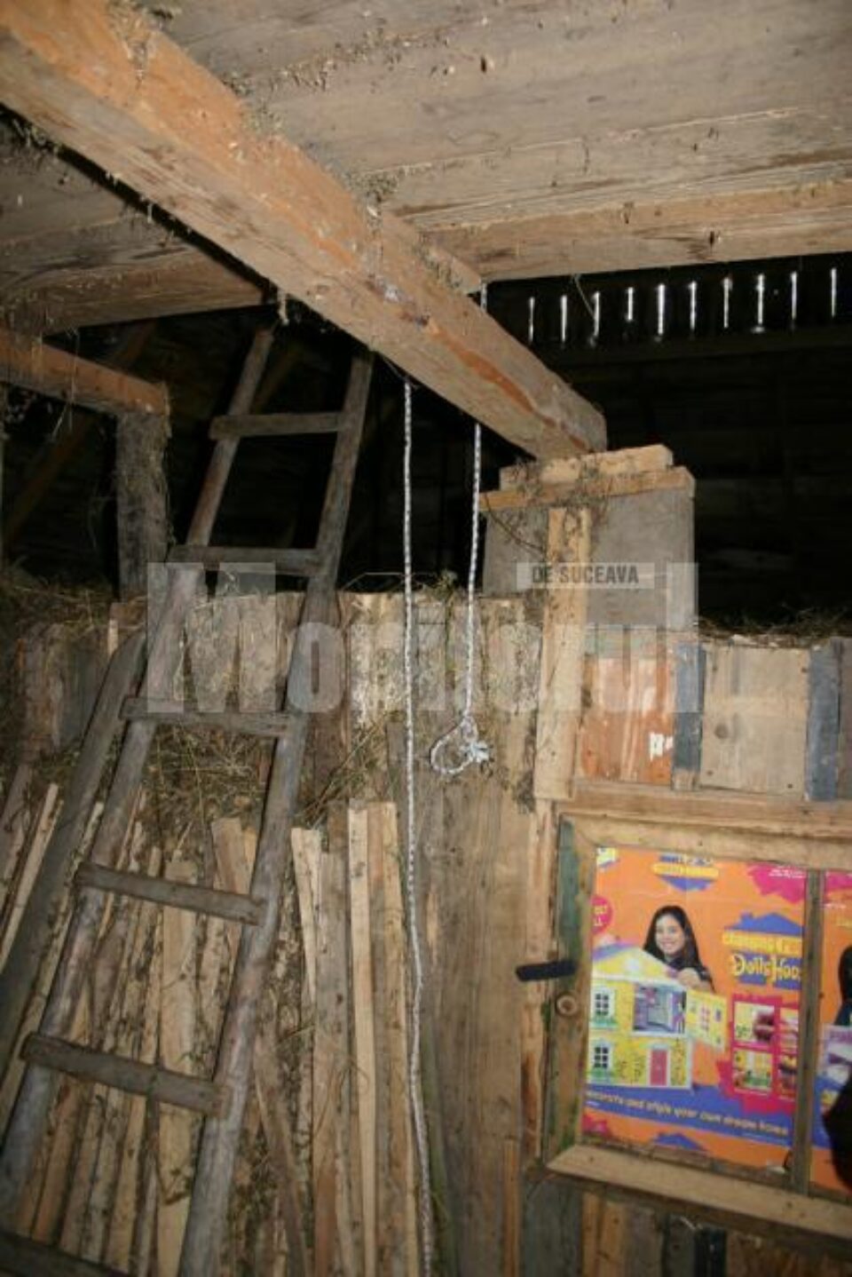 Locul in care a fost gasit spanzurat