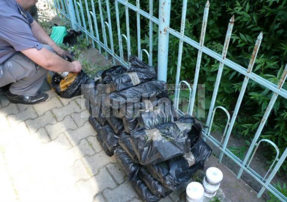 Droguri și obiecte cu însemne naziste au fost descoperite în trenul Moscova-Sofia Droguri și obiecte cu însemne naziste au fost descoperite în trenul Moscova-Sofia