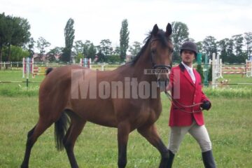 Herghelia Rădăuți: Concurs hipic național cu premii mari