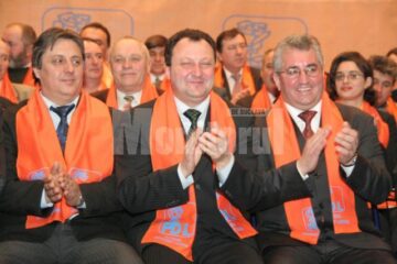 La muncă: PDL anunță că va începe „cultivarea democrației în județul Suceava”