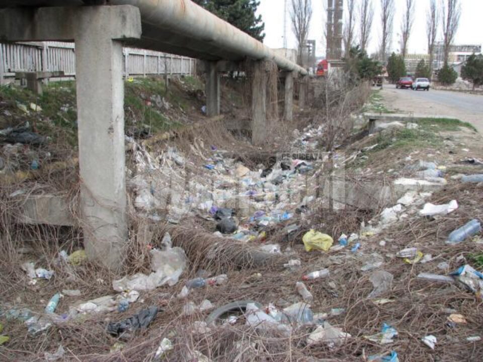 Inițiativă ecologică: Zeci de saci de gunoi adunați de angajații OMV din jurul benzinăriei