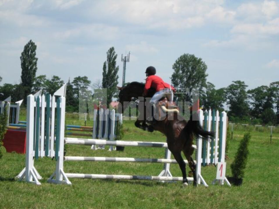 Imagini din cursele de obstacole