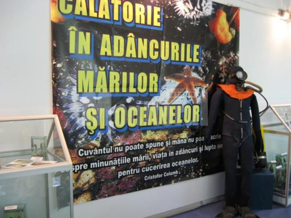 La Muzeul de Științele Naturii: Expoziția „Călătorie în adâncurile mărilor și oceanelor” La Muzeul de Științele Naturii: Expoziția „Călătorie în adâncurile mărilor și oceanelor”