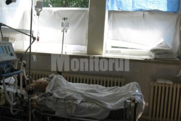 La Preutești: Hoț de lemne, împușcat de un pădurar disperat să-și salveze viața