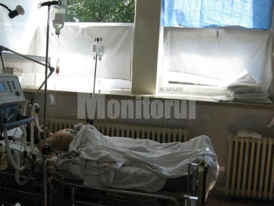 La Preutești: Hoț de lemne, împușcat de un pădurar disperat să-și salveze viața