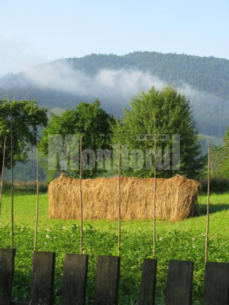 Fânețele sunt cosite acum mai mult de bătrâni și copilandri