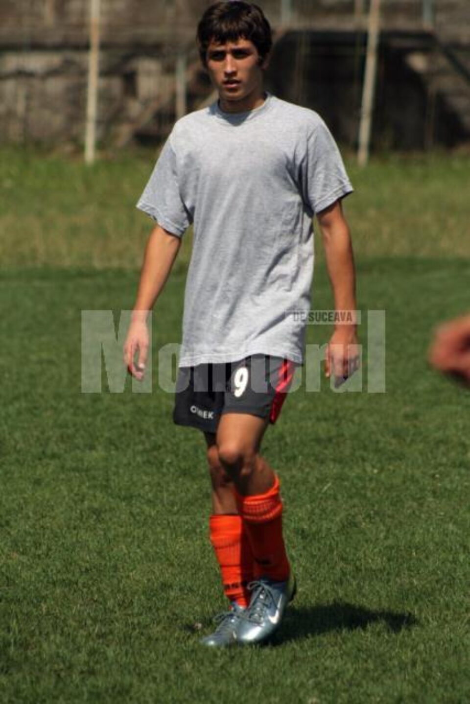 Vrabie, la FC Botoșani
