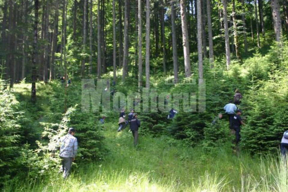 Peste 150 de oameni au încercat, ieri, să dea de urmele omului de afaceri din Izvoarele Sucevei