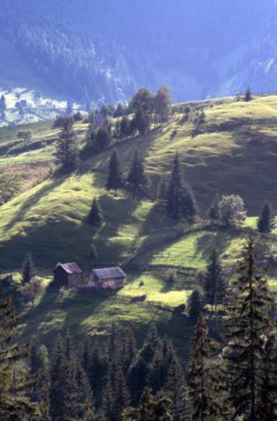 Foto: ALAMY