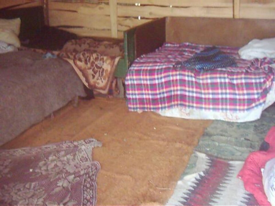 Copilărie într-un bordei din scânduri