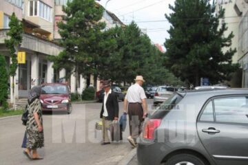 În zona străzii Curtea Domnească au fost otrăviți cel puțin patru câini