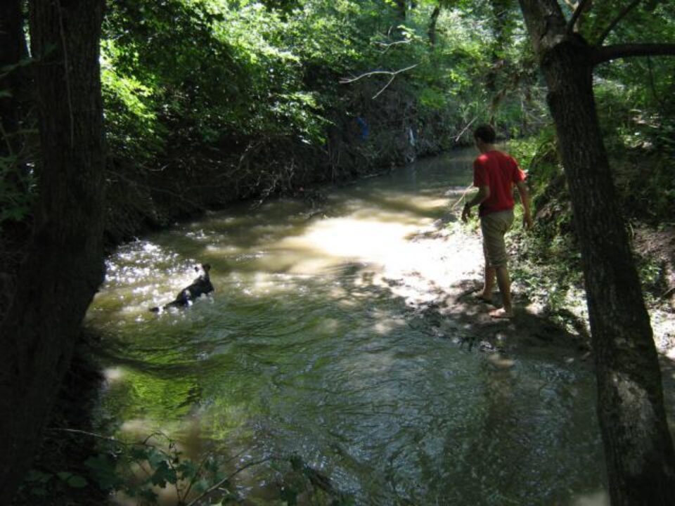Scăldatul în ape murdare este contraindicat Foto: PANORAMIO.COM Scăldatul în ape murdare este contraindicat Foto: PANORAMIO.COM