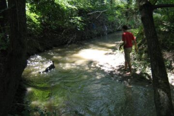 Scăldatul în ape murdare este contraindicat Foto: PANORAMIO.COM