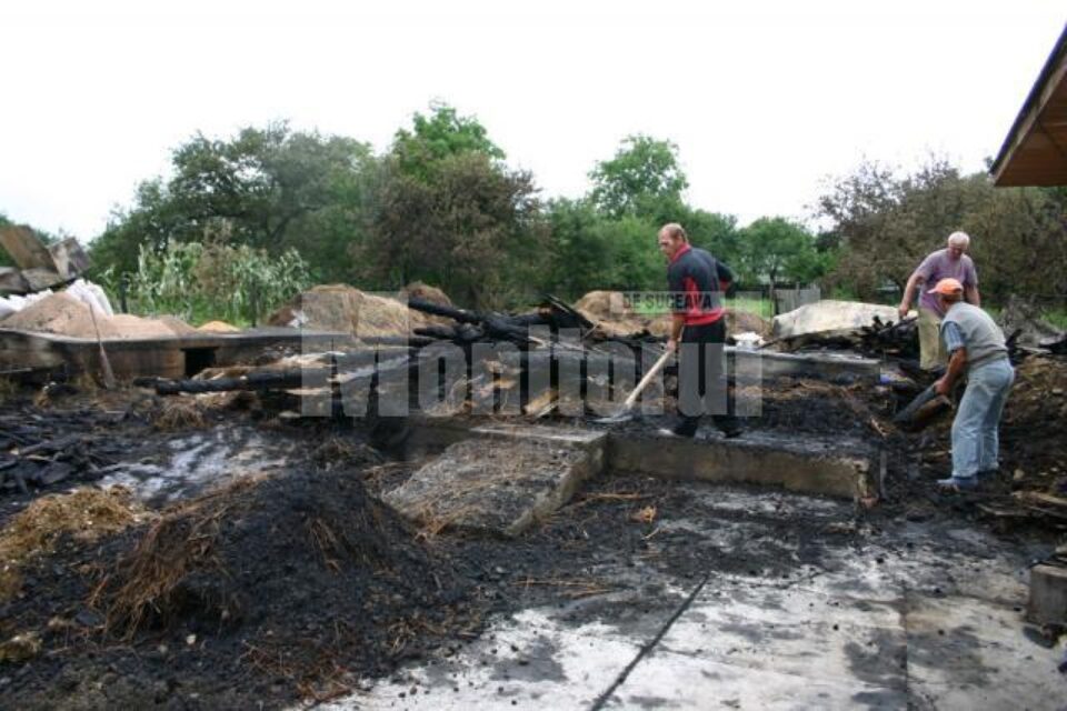 Incendiul a fost stins abia după miezul nopții