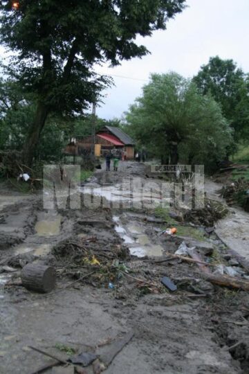 Bătuți de soartă: S-au urcat în poduri și s-au rugat la Dumnezeu să scape cu viață