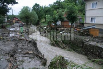 Bătuți de soartă: S-au urcat în poduri și s-au rugat la Dumnezeu să scape cu viață