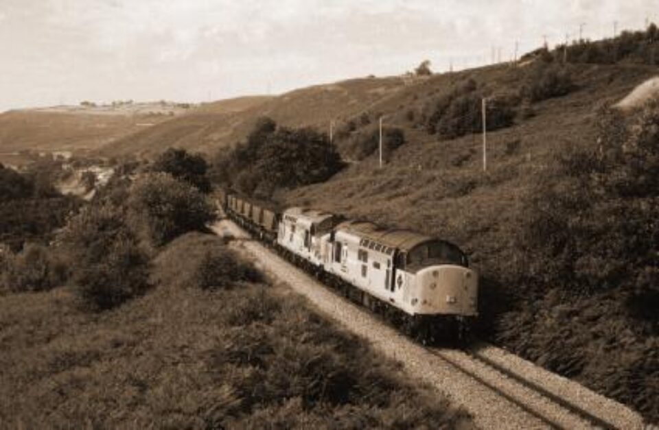 31 Iulie