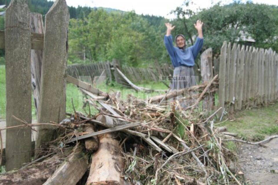 Cu Dumnezeu nu ne putem lupta. Ar însemna să fim împotriva vieții noastre. Foto: Marius ȘUIU Cu Dumnezeu nu ne putem lupta. Ar însemna să fim împotriva vieții noastre. Foto: Marius ȘUIU