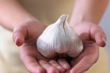 Consumul regulat de usturoi scade tensiunea arterială. Foto: CORBIS