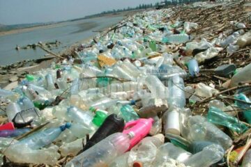 Neglijență: Două hectare de gunoaie din Suceava, în barajul de la Bicaz