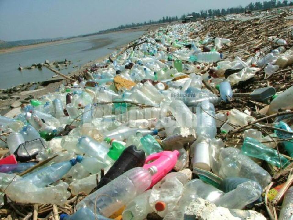 Neglijență: Două hectare de gunoaie din Suceava, în barajul de la Bicaz