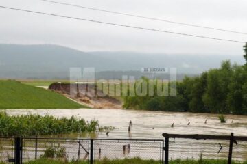 Inițiativă: Europarlamentarul Cătălin Nechifor propune cultivarea orezului în locul grâului