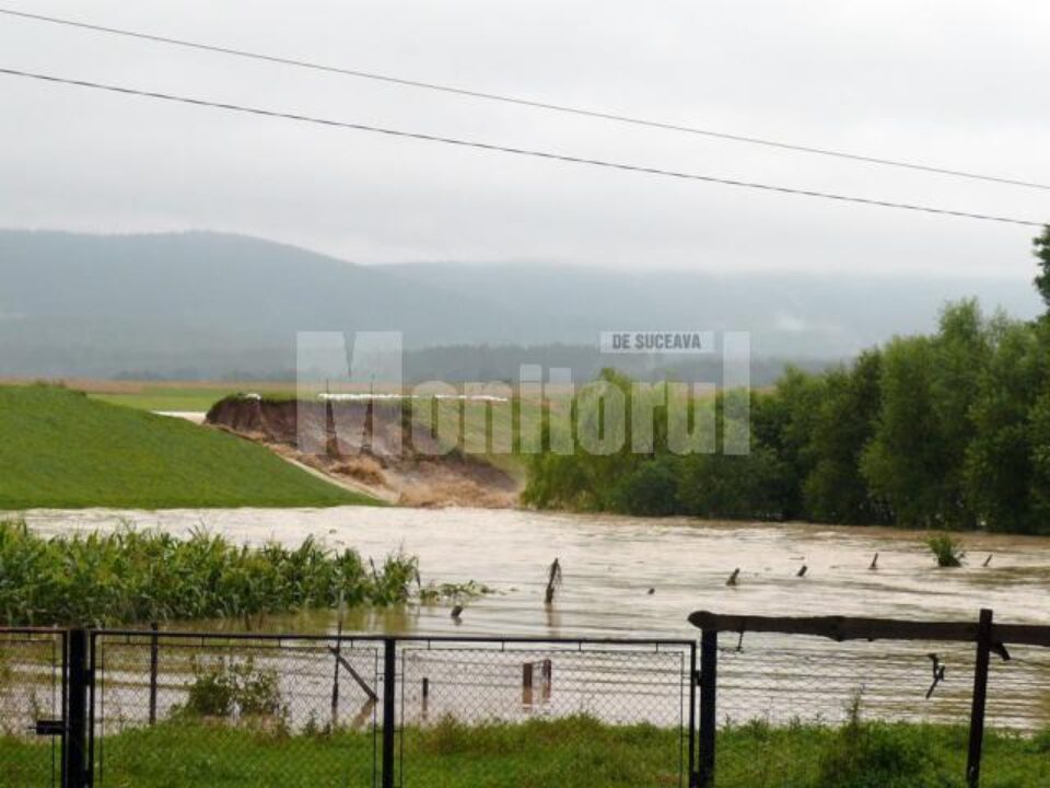 Inițiativă: Europarlamentarul Cătălin Nechifor propune cultivarea orezului în locul grâului