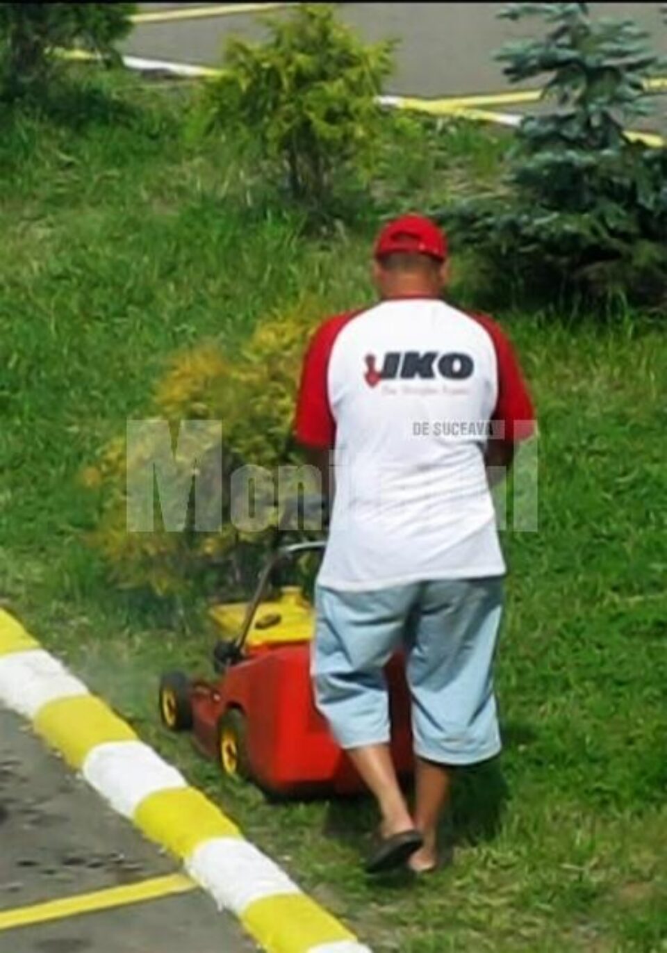 Ovidiu Tudorici a fost văzut tunzând iarba într-o parcare publică din Câmpulung Ovidiu Tudorici a fost văzut tunzând iarba într-o parcare publică din Câmpulung