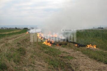Cazurile de incendieri de miriști, in atenția Gărzii de Mediu