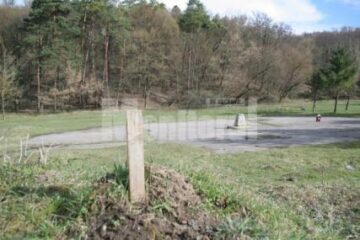 Direcția Silvică susține că parcela din Parcul Șipote pe care se vor construi două blocuri este proprietatea statului