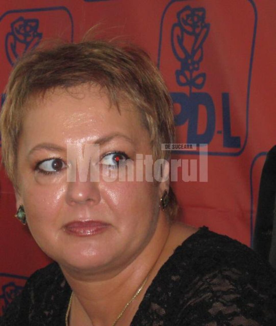 Supărare: PDL, dezamăgit de implicarea insuficientă a Guvernului în ajutorarea sinistraților