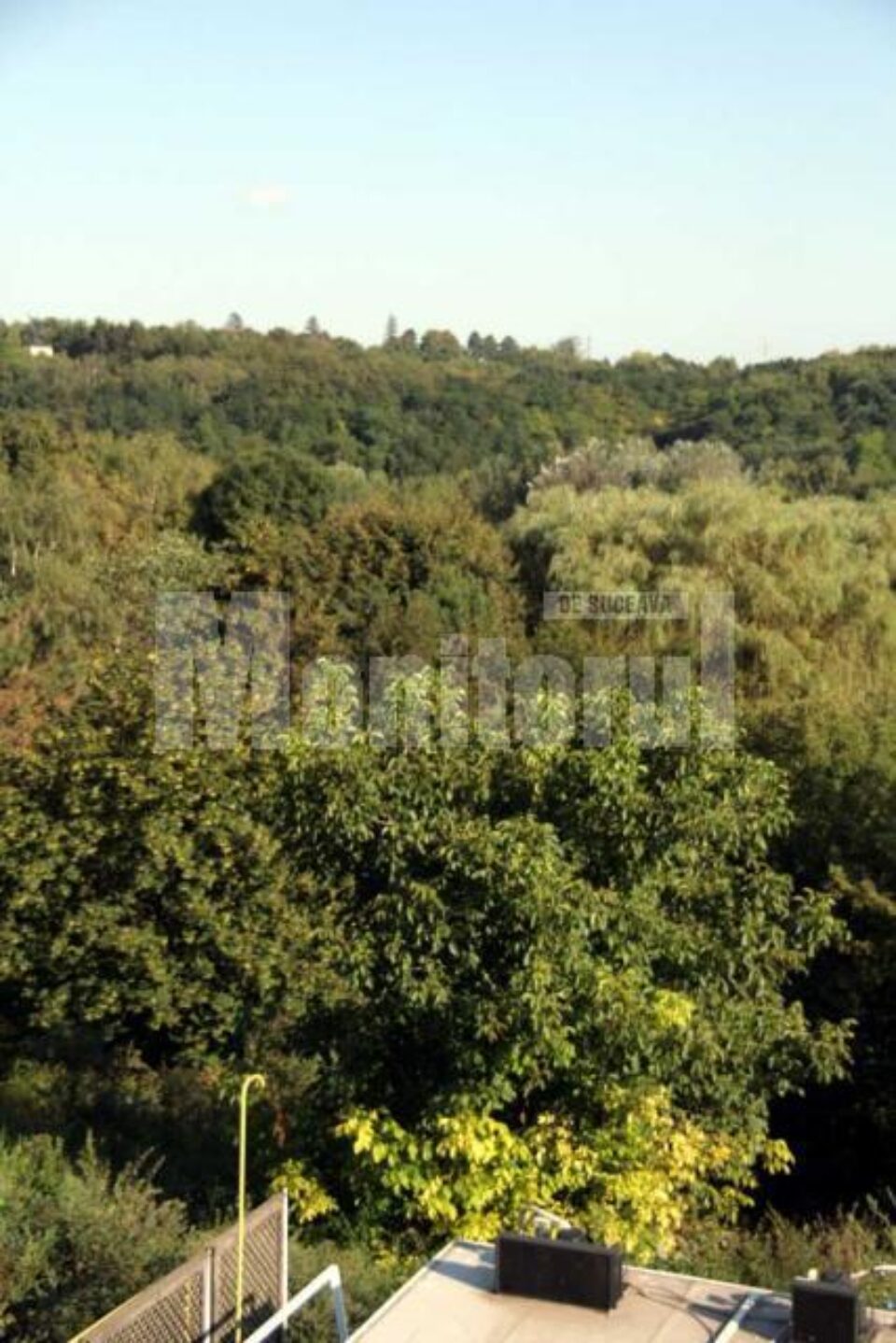 Direcția Silvică susține că la Șipote au fost acordate titluri de proprietate cu încălcarea legii, iar acestea trebuie anulate Direcția Silvică susține că la Șipote au fost acordate titluri de proprietate cu încălcarea legii, iar acestea trebuie anulate