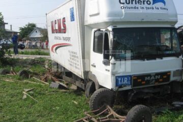 Tirul a târât căruța câteva zeci de metri, până în șanț