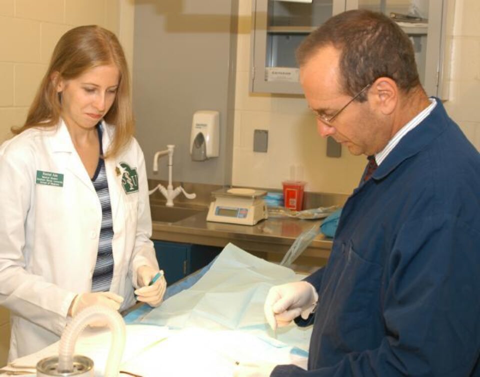 Medicamentele pentru tratarea impotenței, benefice în combaterea afecțiunilor de prostată