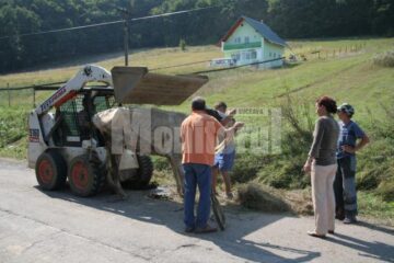 Cecilia Kaplan privește cum se ridică din drum o vacă ce abia se mai ține pe picioare