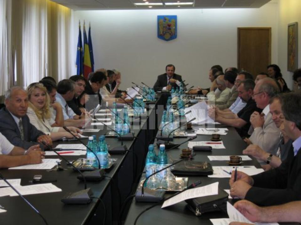 Aleșii județeni au aprobat noi ajutoare pentru sinistrați