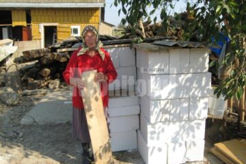 Elena Ignătescu lângă BCA-urile oferite de autorități