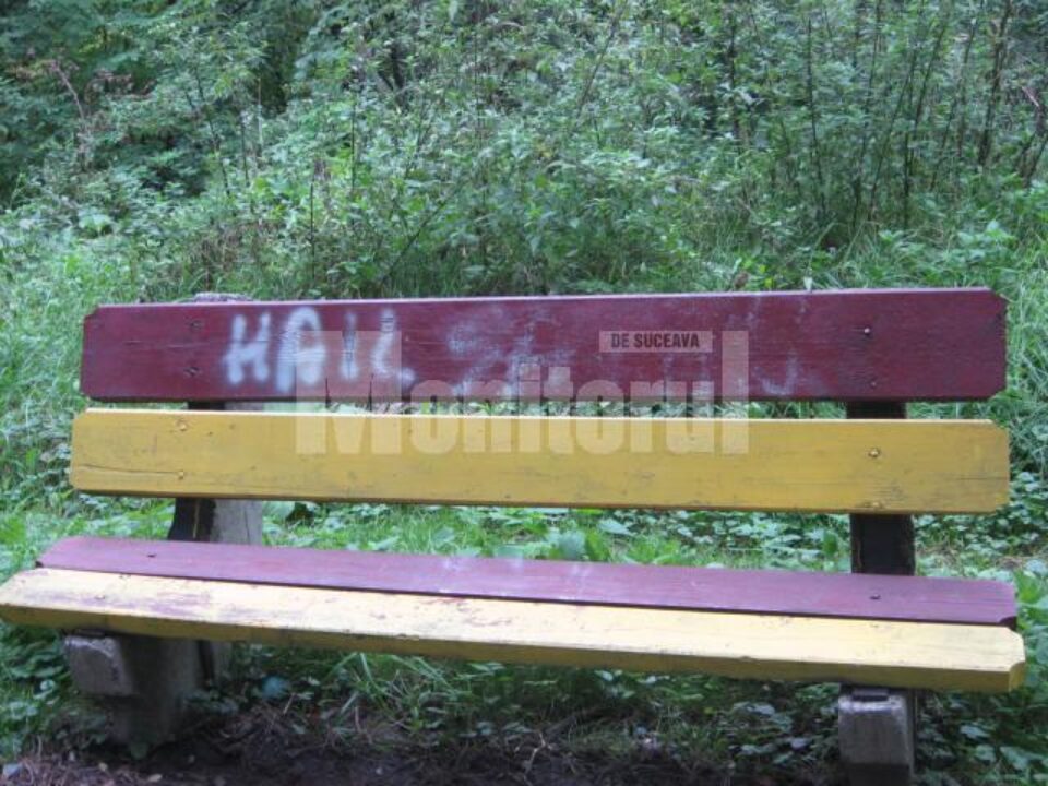 În drumul spre Cetate: Mâzgălituri cu caracter satanic, ignorate de autorități În drumul spre Cetate: Mâzgălituri cu caracter satanic, ignorate de autorități