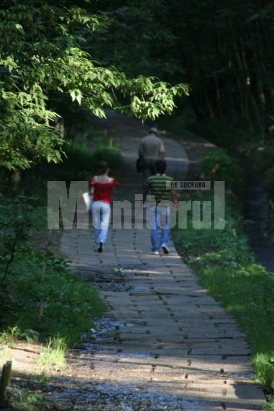 Parcul Șipote rămâne în administrarea Direcției Silvice Suceava Parcul Șipote rămâne în administrarea Direcției Silvice Suceava