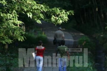 Parcul Șipote rămâne în administrarea Direcției Silvice Suceava