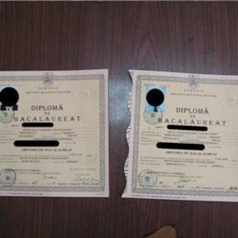 Foto: Gardianul Foto: Gardianul