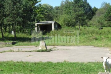 Parcela pe care o firmă privată intenționează să construiască două blocuri